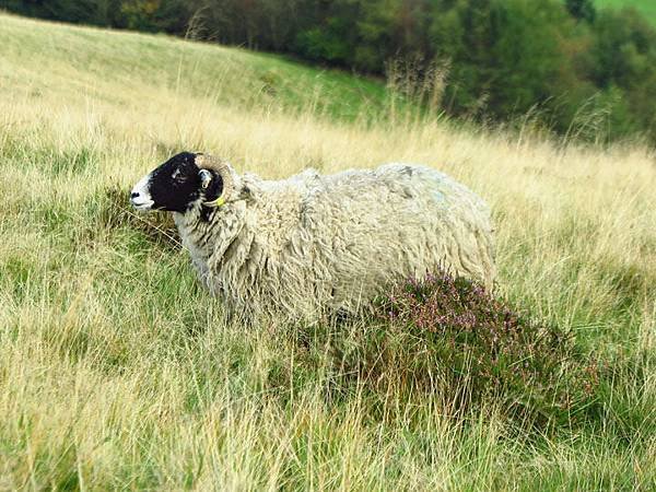 Edale b4.JPG