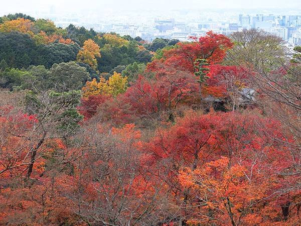 Kyoto 13e1.JPG