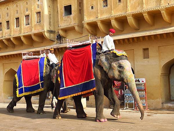 Amber fort c3.JPG