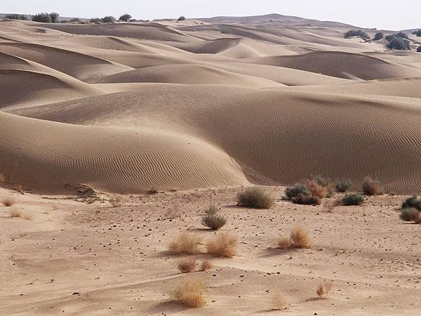 Jaisalmer g5.JPG