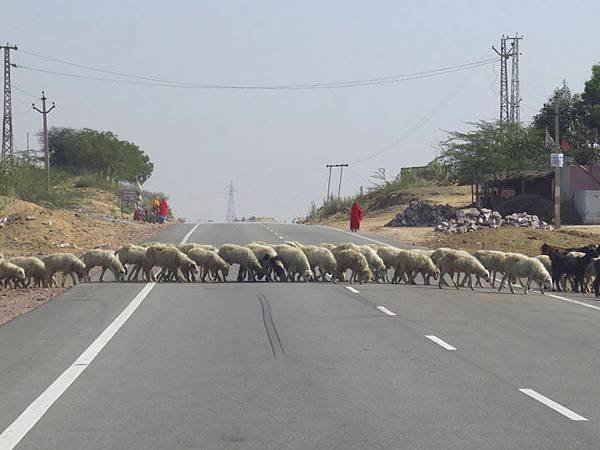 Rajasthan a8.JPG