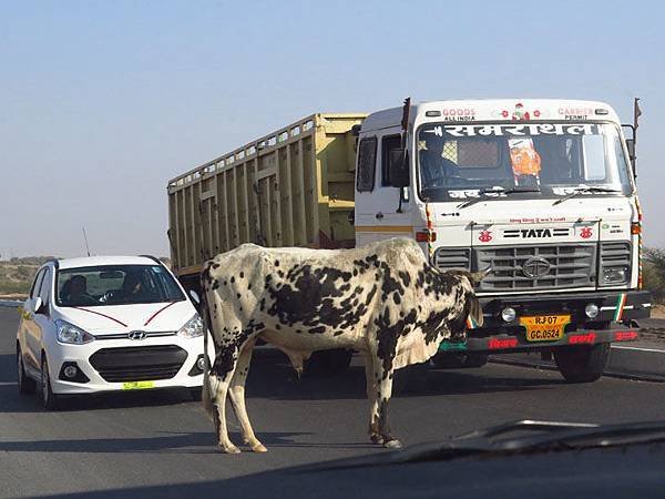 Rajasthan a9.JPG