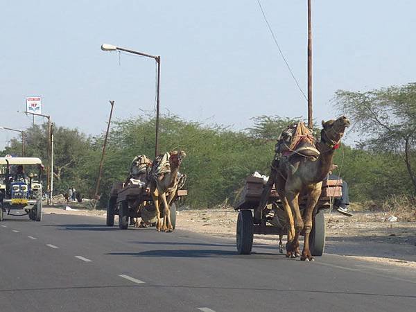 Rajasthan d5.JPG