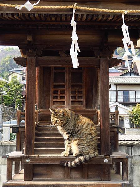 Onomichi m7.JPG