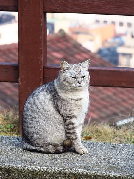 Onomichi m8.JPG