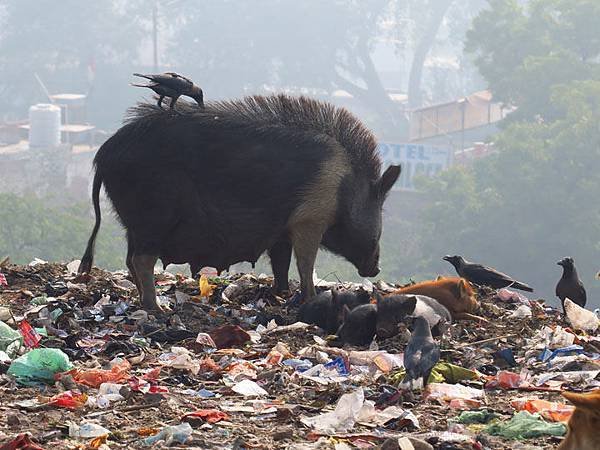 Fatehpur a4.JPG