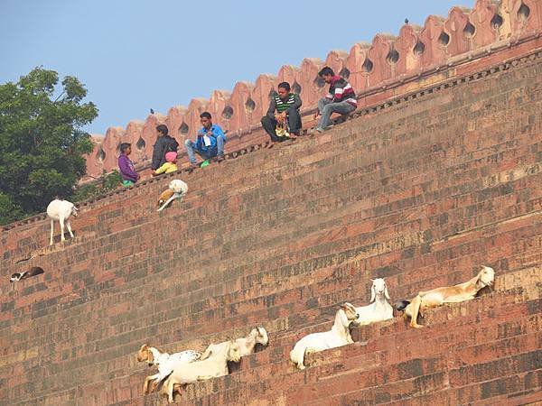 Fatehpur a5.JPG