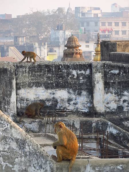 Varanasi b3.JPG