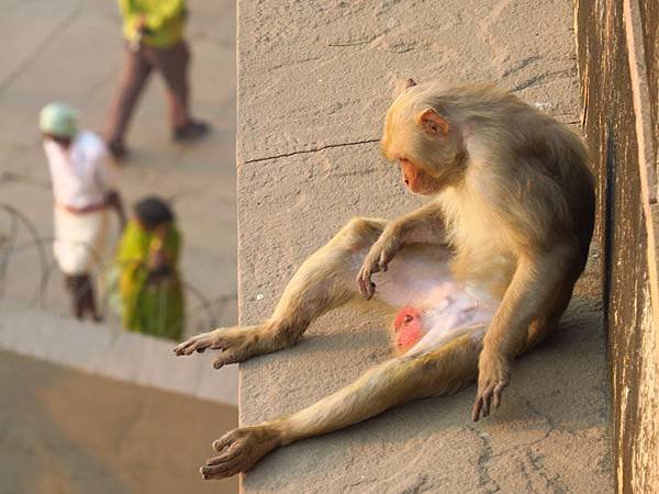 Varanasi b4.JPG