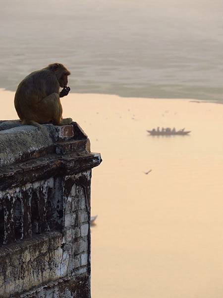 Varanasi b6.JPG