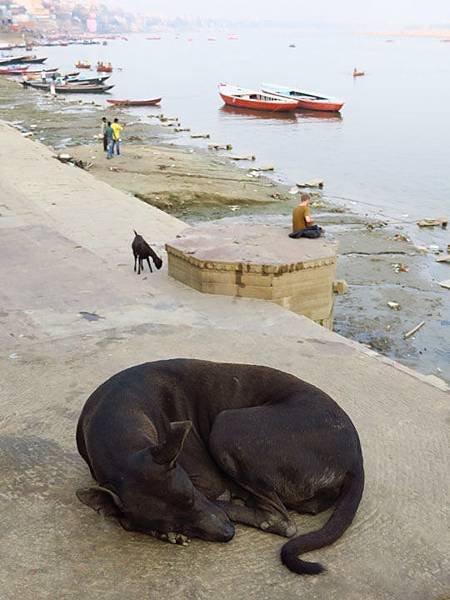 Varanasi h8.JPG