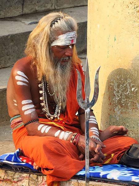 Varanasi k9.JPG