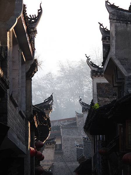 Fenghuang f6.JPG