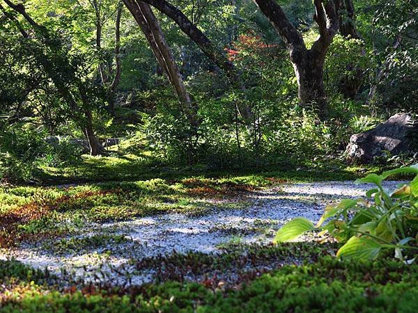 Kyoto hd7.JPG