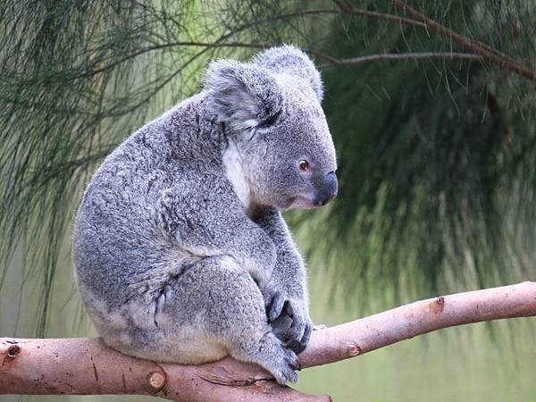 Taipei zoo 2.JPG