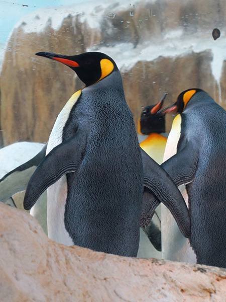 Taipei zoo 7.JPG