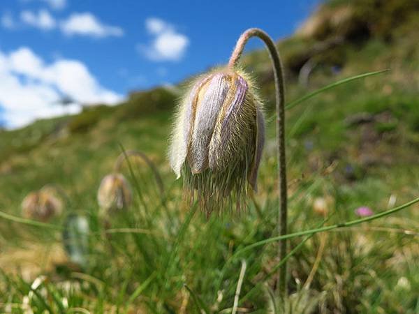 Zermatt e2.JPG