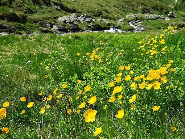 Zermatt s2.JPG