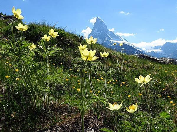 Zermatt s3.JPG