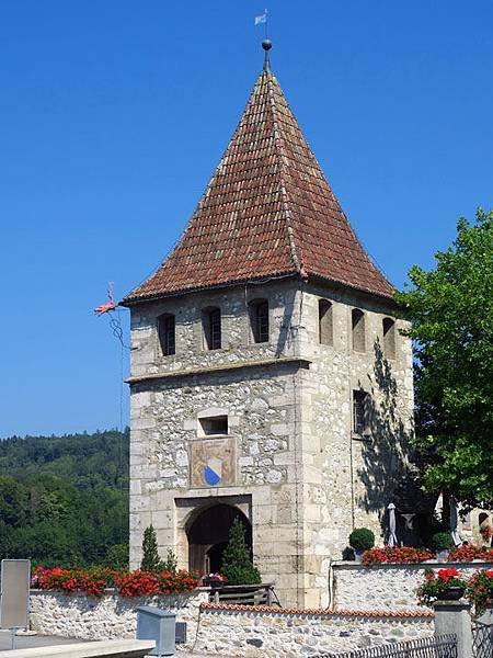 Rheinfall a5.JPG