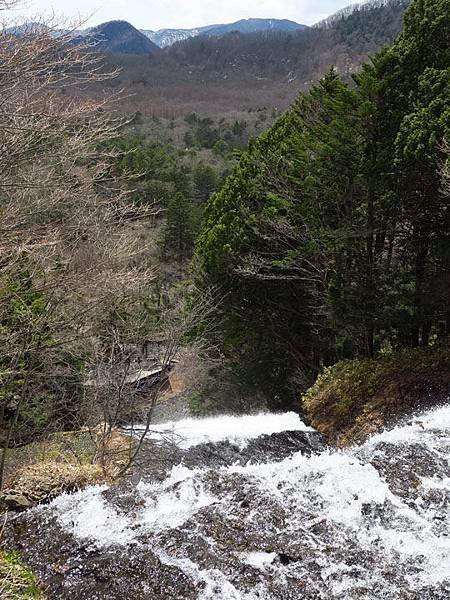 Nikko a4.JPG