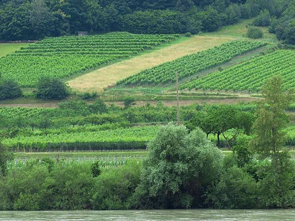 Wachau b2.JPG