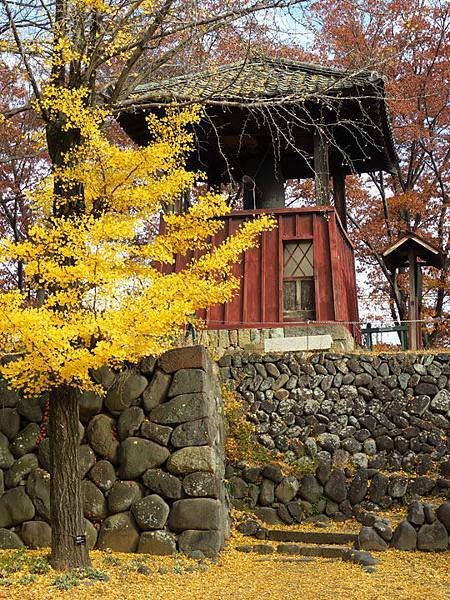 Ueda a7.JPG