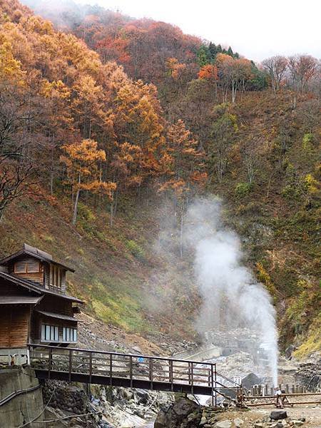 Onsen monkeys a8.JPG