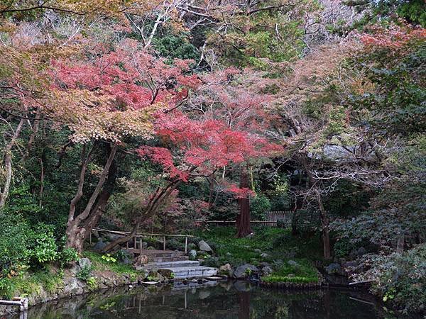 Kamakura l7.JPG