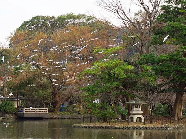 Kamakura l8.JPG