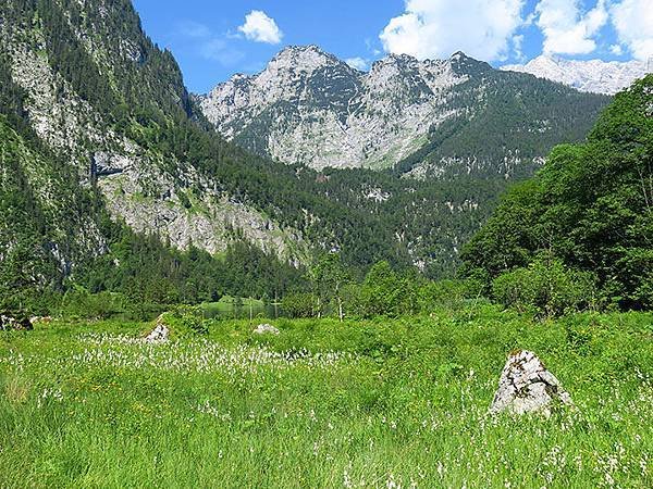 Obersee a2.JPG