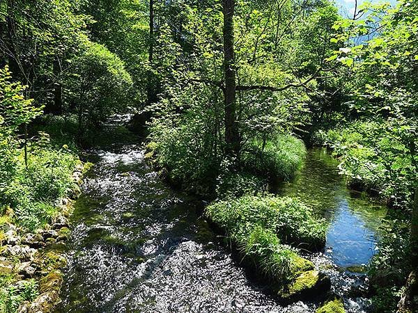 Obersee a3.JPG