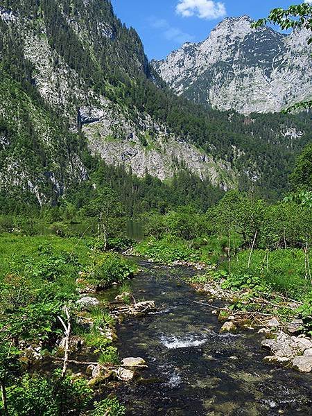 Obersee a5.JPG