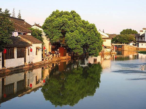 Tongli a1.JPG