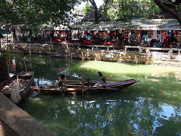 Tongli a3.JPG