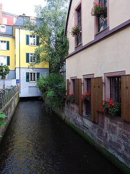 Freiburg f5.JPG