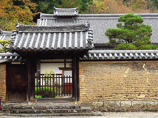 Nara park c1.JPG