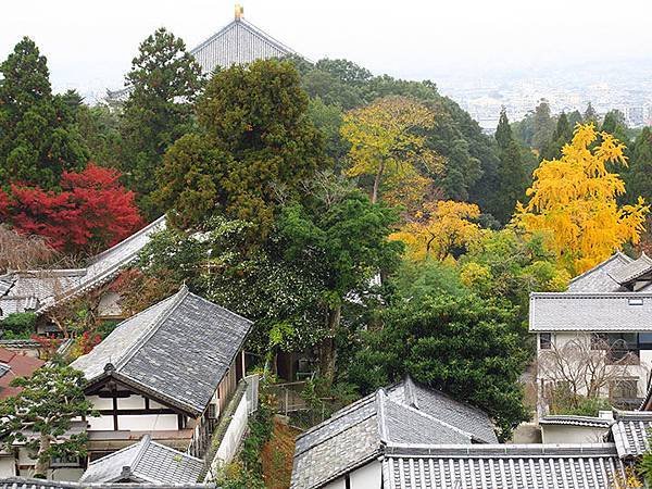 Nara park d2.JPG