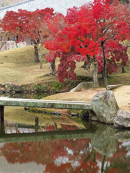 Nara park e2.JPG