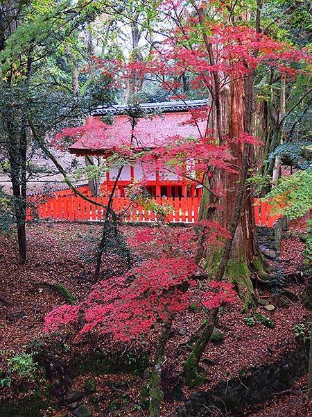 Nara park d9.JPG