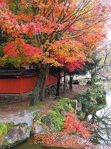 Nara park e3.JPG