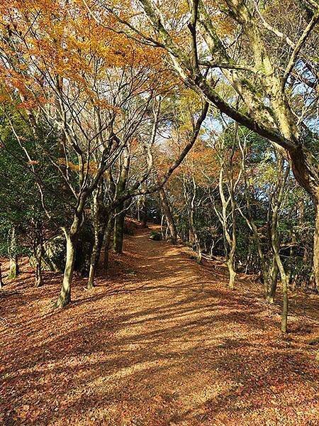 Shodoshima i6.JPG