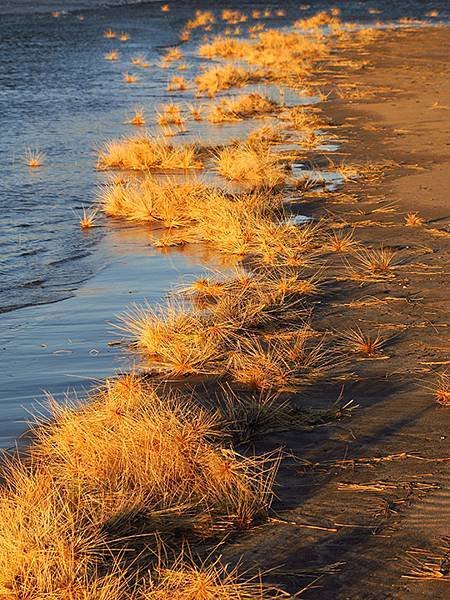 Beach a7.JPG