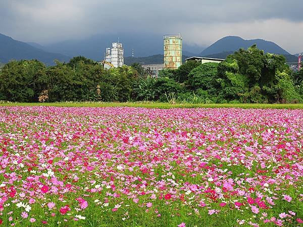 Beitou a7.JPG