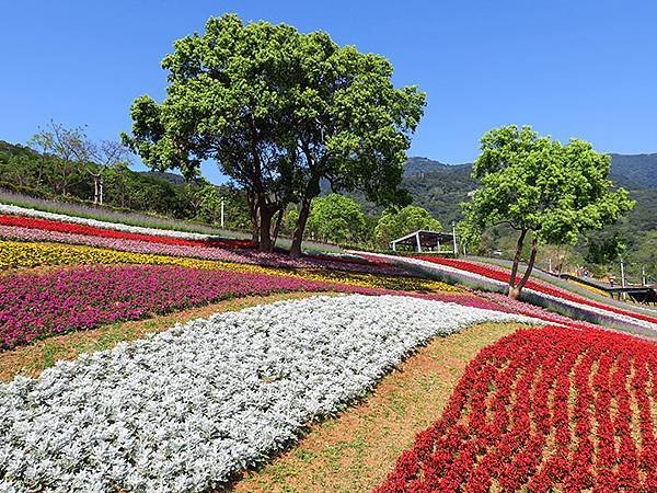 Beitou a8.JPG