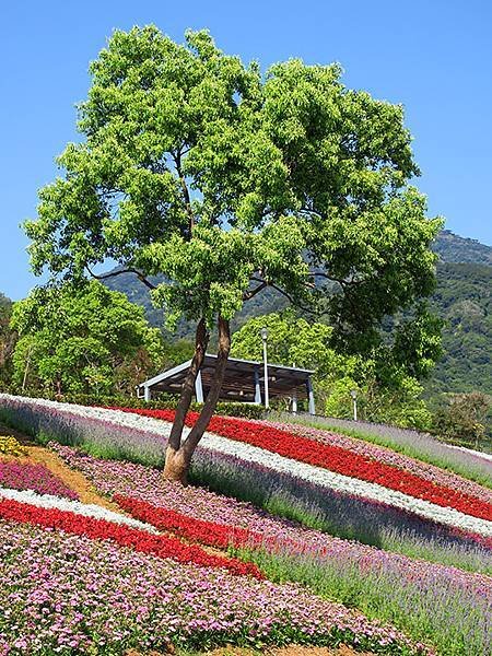 Beitou a11.JPG