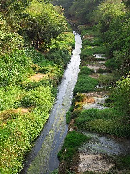 Kaohsiung ba5.JPG