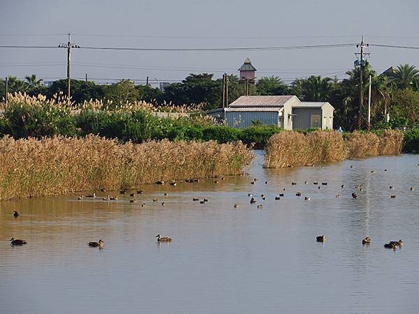 Diaobie Pond e1.JPG