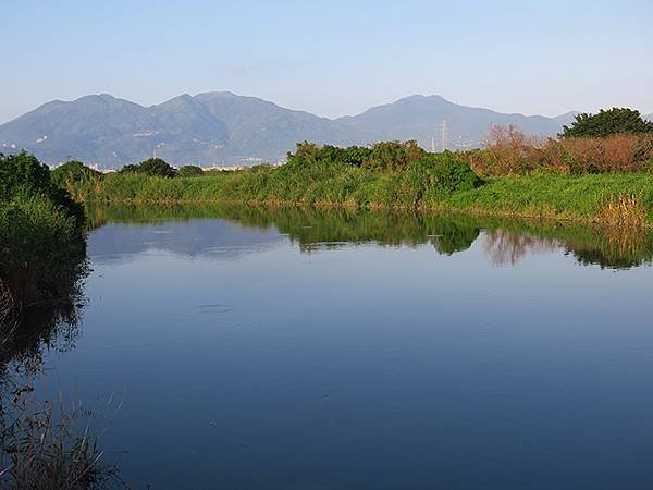 Luzhou Birds j5.JPG