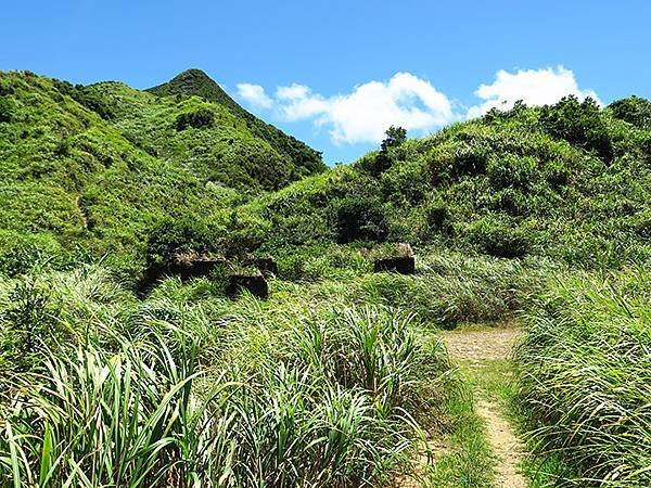 Canquangliao a5.JPG